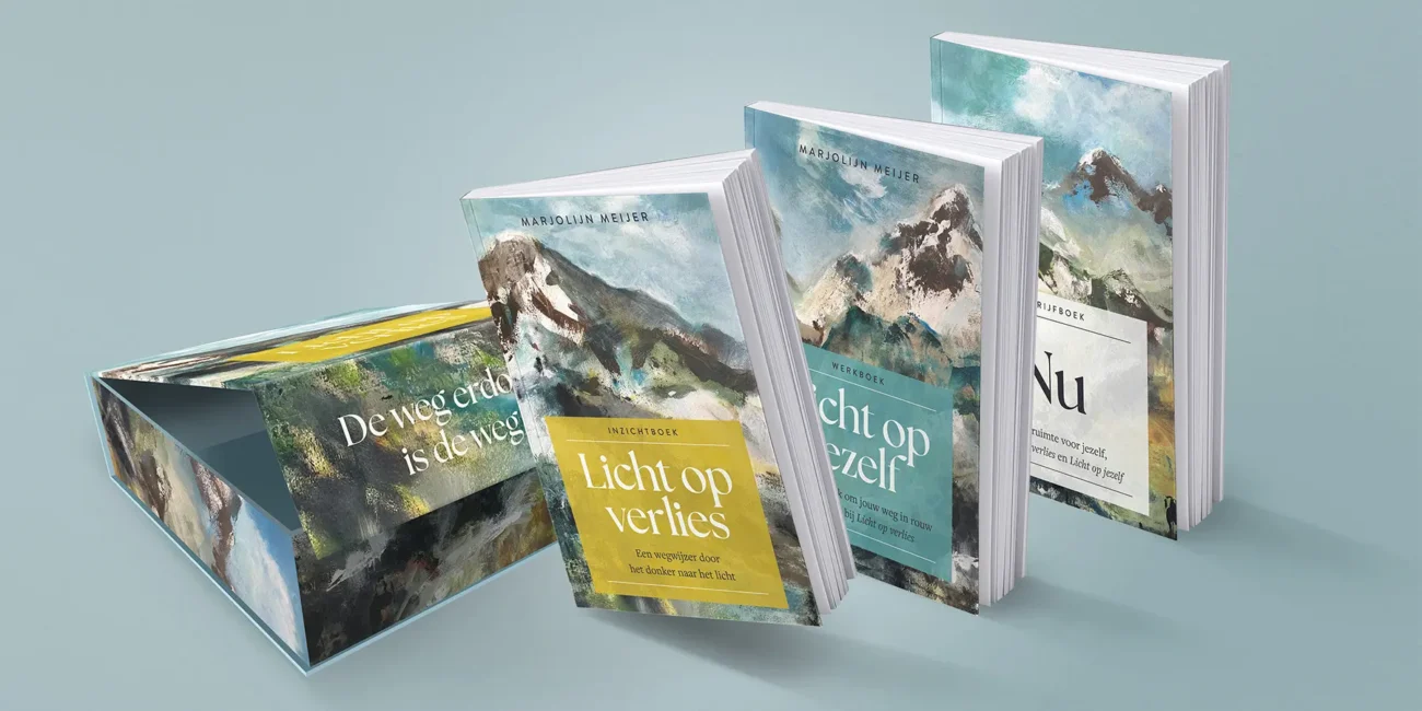 Licht op verlies door Marjolijn Meijer